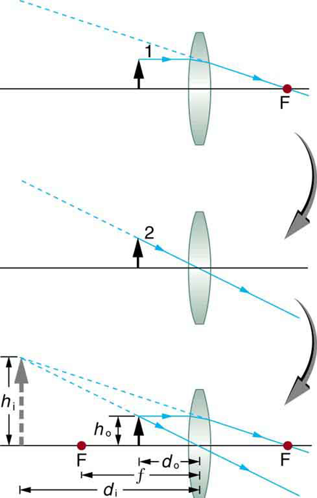 Ray tracing predicts the image location and size for an object held closer to a converging lens than its focal length. Ray 1 enters parallel to the axis and exits through the focal point on the opposite side, while ray 2 passes through the center of the lens without changing path. The two rays continue to diverge on the other side of the lens, but both appear to come from a common point, locating the upright, magnified, virtual image. This is a case 2 image.
